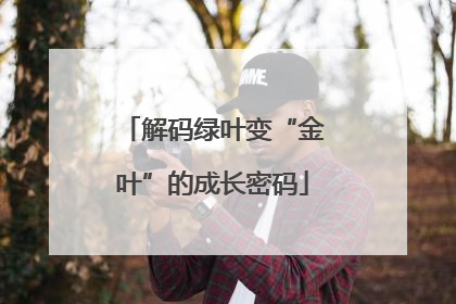 解码绿叶变“金叶”的成长密码