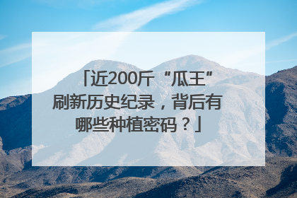 近200斤“瓜王”刷新历史纪录，背后有哪些种植密码？