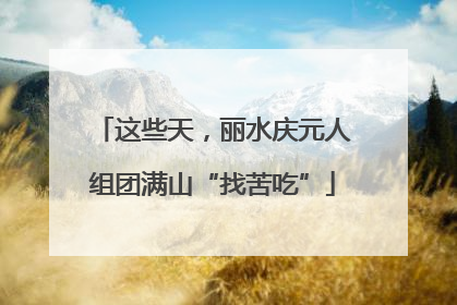 这些天，丽水庆元人组团满山“找苦吃”