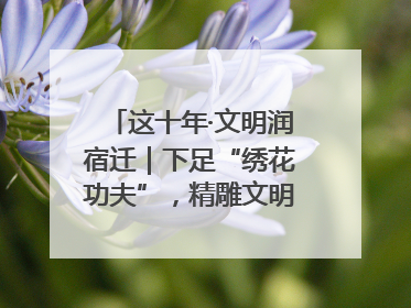 这十年·文明润宿迁｜下足“绣花功夫”，精雕文明城市品质