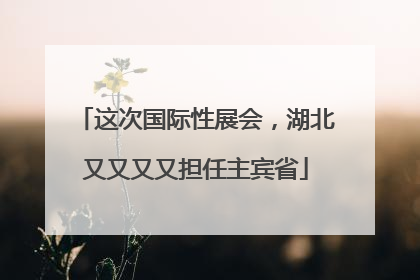 这次国际性展会，湖北又又又又担任主宾省