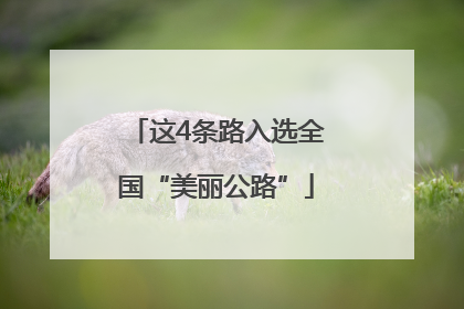 这4条路入选全国“美丽公路”