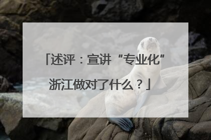 述评：宣讲“专业化” 浙江做对了什么？