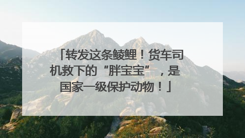 转发这条鲮鲤！货车司机救下的“胖宝宝”，是国家一级保护动物！