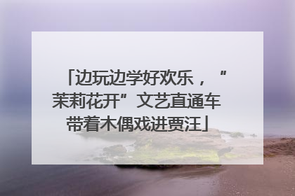 边玩边学好欢乐，“茉莉花开”文艺直通车带着木偶戏进贾汪