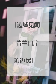 边城见闻：普兰口岸访边民