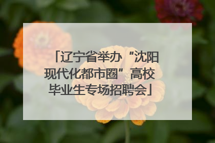 辽宁省举办“沈阳现代化都市圈”高校毕业生专场招聘会