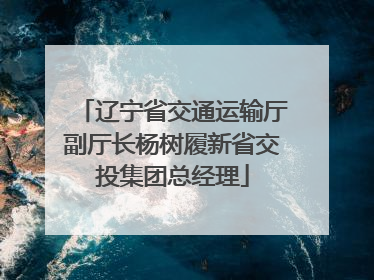 辽宁省交通运输厅副厅长杨树履新省交投集团总经理