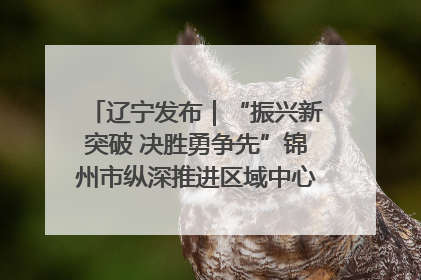 辽宁发布｜“振兴新突破 决胜勇争先”锦州市纵深推进区域中心城市建设 打造高质量发展新增长极