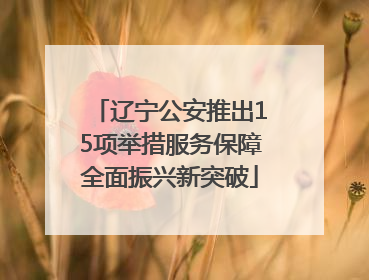 辽宁公安推出15项举措服务保障全面振兴新突破