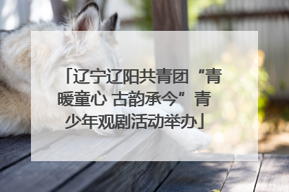 辽宁辽阳共青团“青暖童心 古韵承今”青少年观剧活动举办