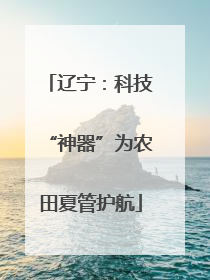辽宁：科技“神器”为农田夏管护航
