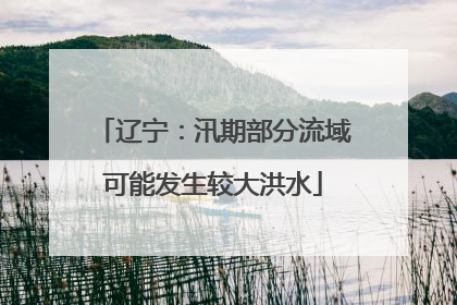 辽宁：汛期部分流域可能发生较大洪水