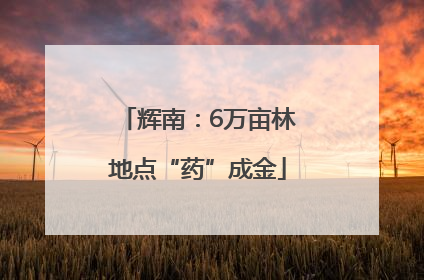 辉南：6万亩林地点“药”成金