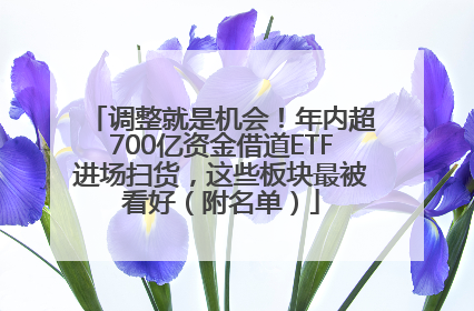 调整就是机会！年内超700亿资金借道ETF进场扫货，这些板块最被看好（附名单）