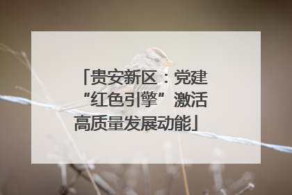 贵安新区：党建“红色引擎”激活高质量发展动能