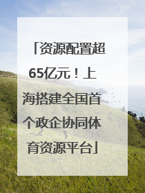资源配置超65亿元！上海搭建全国首个政企协同体育资源平台