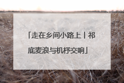 走在乡间小路上丨祁底麦浪与机杼交响