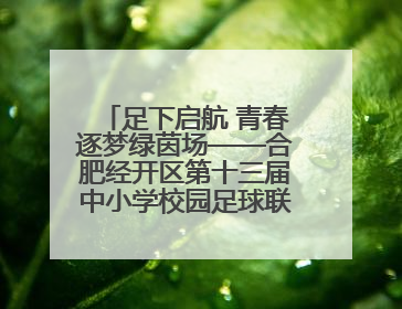 足下启航 青春逐梦绿茵场——合肥经开区第十三届中小学校园足球联赛圆满收官