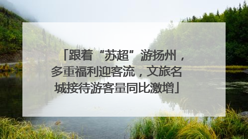 跟着“苏超”游扬州，多重福利迎客流，文旅名城接待游客量同比激增