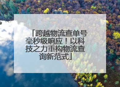 跨越物流查单号毫秒级响应！以科技之力重构物流查询新范式