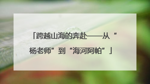 跨越山海的奔赴——从“杨老师”到“海河阿帕”