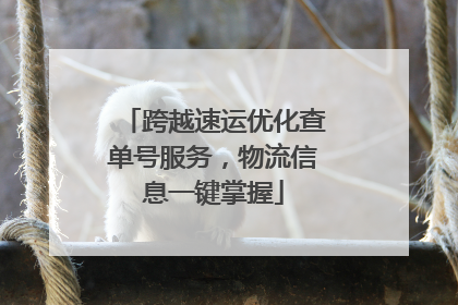 跨越速运优化查单号服务，物流信息一键掌握