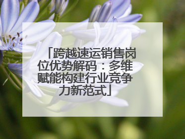 跨越速运销售岗位优势解码：多维赋能构建行业竞争力新范式