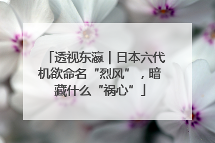 透视东瀛｜日本六代机欲命名“烈风”，暗藏什么“祸心”
