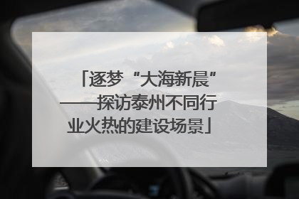 逐梦“大海新晨”——探访泰州不同行业火热的建设场景