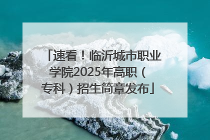 速看！临沂城市职业学院2025年高职（专科）招生简章发布