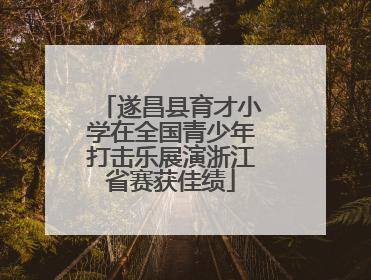 遂昌县育才小学在全国青少年打击乐展演浙江省赛获佳绩