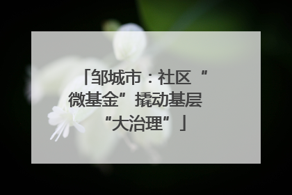 邹城市：社区“微基金”撬动基层“大治理”