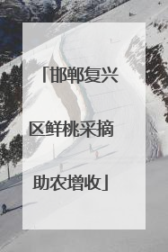 邯郸复兴区鲜桃采摘助农增收