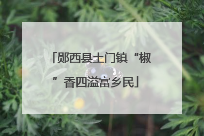 郧西县土门镇“椒”香四溢富乡民