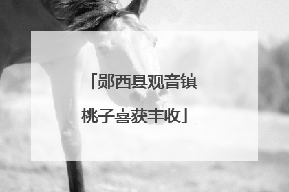 郧西县观音镇桃子喜获丰收