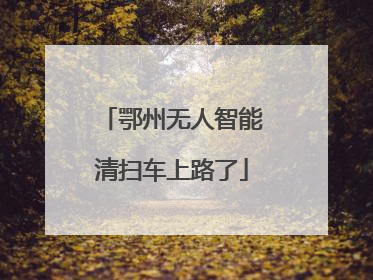 鄂州无人智能清扫车上路了