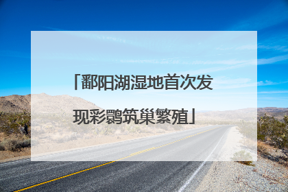 鄱阳湖湿地首次发现彩鹮筑巢繁殖