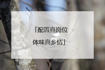 配置真岗位 体味真乡情