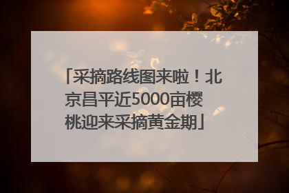 采摘路线图来啦！北京昌平近5000亩樱桃迎来采摘黄金期