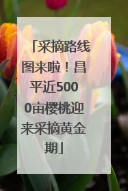 采摘路线图来啦！昌平近5000亩樱桃迎来采摘黄金期