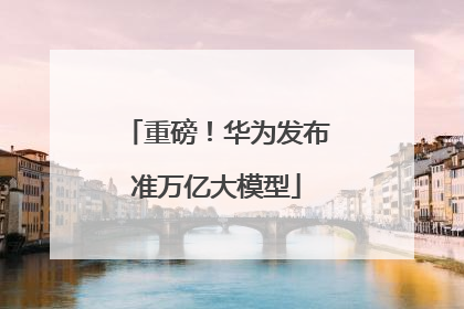 重磅！华为发布准万亿大模型