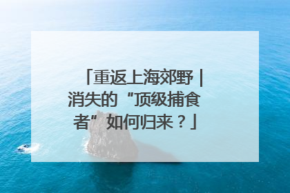 重返上海郊野｜消失的“顶级捕食者”如何归来？