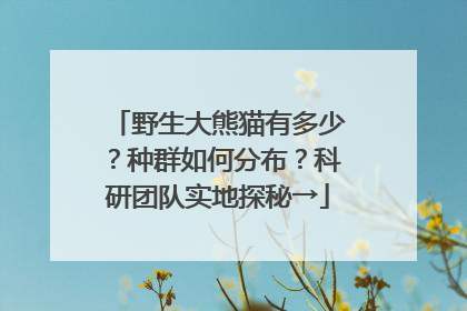 野生大熊猫有多少？种群如何分布？科研团队实地探秘→