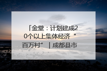 金堂：计划建成20个以上集体经济“百万村”｜成都县市新城高质量发展