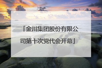 金川集团股份有限公司第十次党代会开幕