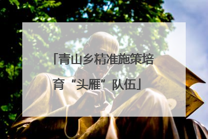 青山乡精准施策培育“头雁”队伍