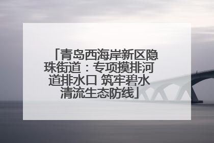 青岛西海岸新区隐珠街道：专项摸排河道排水口 筑牢碧水清流生态防线