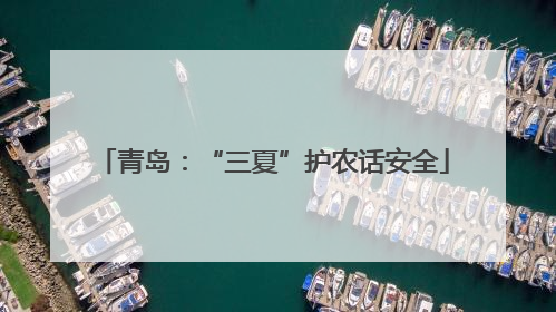 青岛：“三夏”护农话安全
