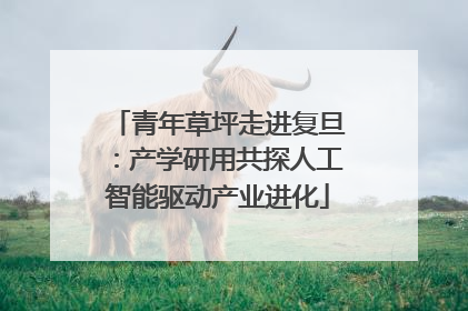 青年草坪走进复旦：产学研用共探人工智能驱动产业进化